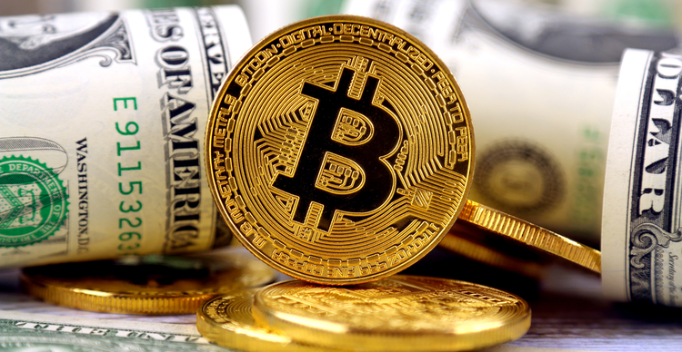 Market highlights November 12: Bitcoin flat, Wall Street recovers