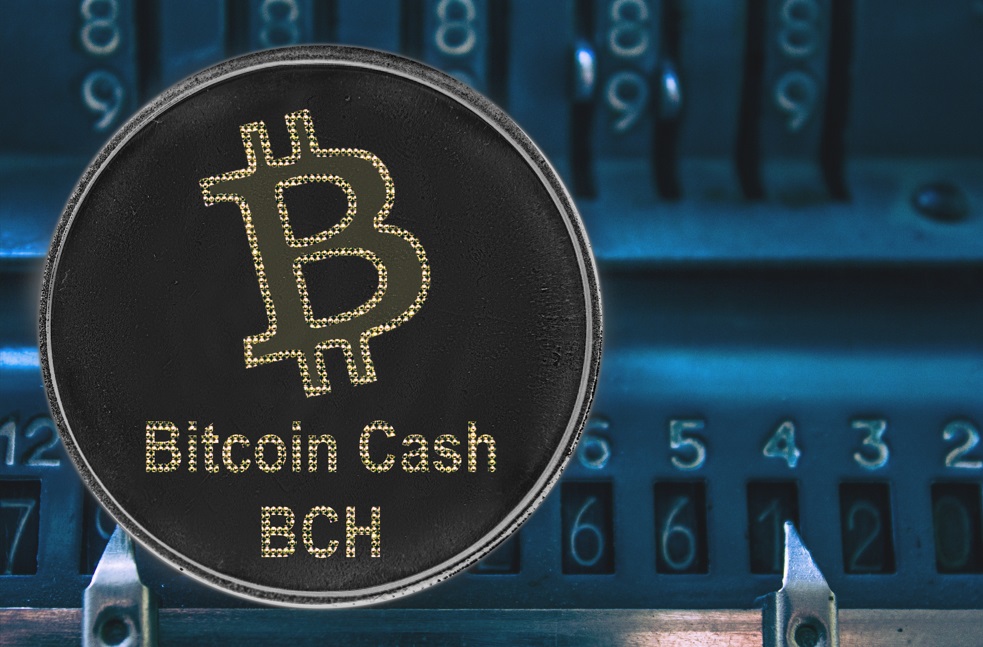 Litecoin v Bitcoin Cash – As bulls return to the market, these two are worthy buys