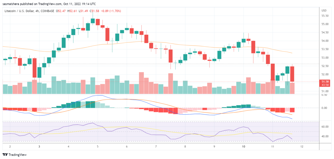 Litecoin price: what’s the outlook after the latest dip?