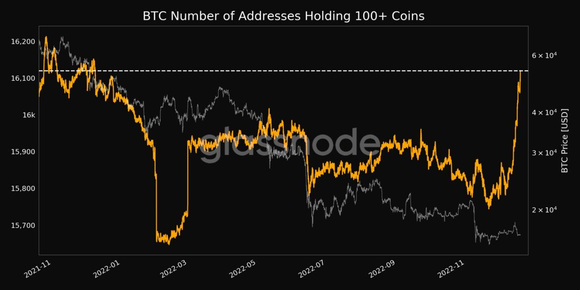 Bitcoin addresses with 100+ coins reach new one-year high