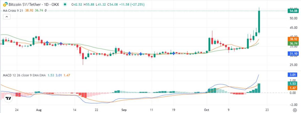 Bitcoin SV price prediction as it climbs 71% in 24 hours