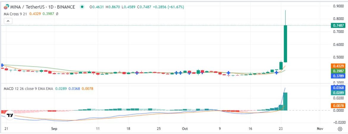 Web3 traction drives Mina, Bluzelle, Conflux tokens’ double-digit surges