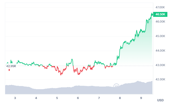 Bitcoin Dogs gaming project unveils the first BRC-20 ICO amid the Bitcoin comeback