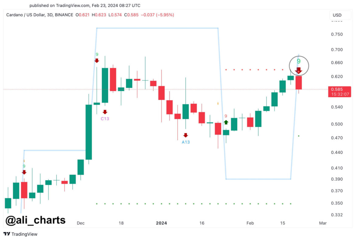 ADA near key level as analyst says Cardano faces correction